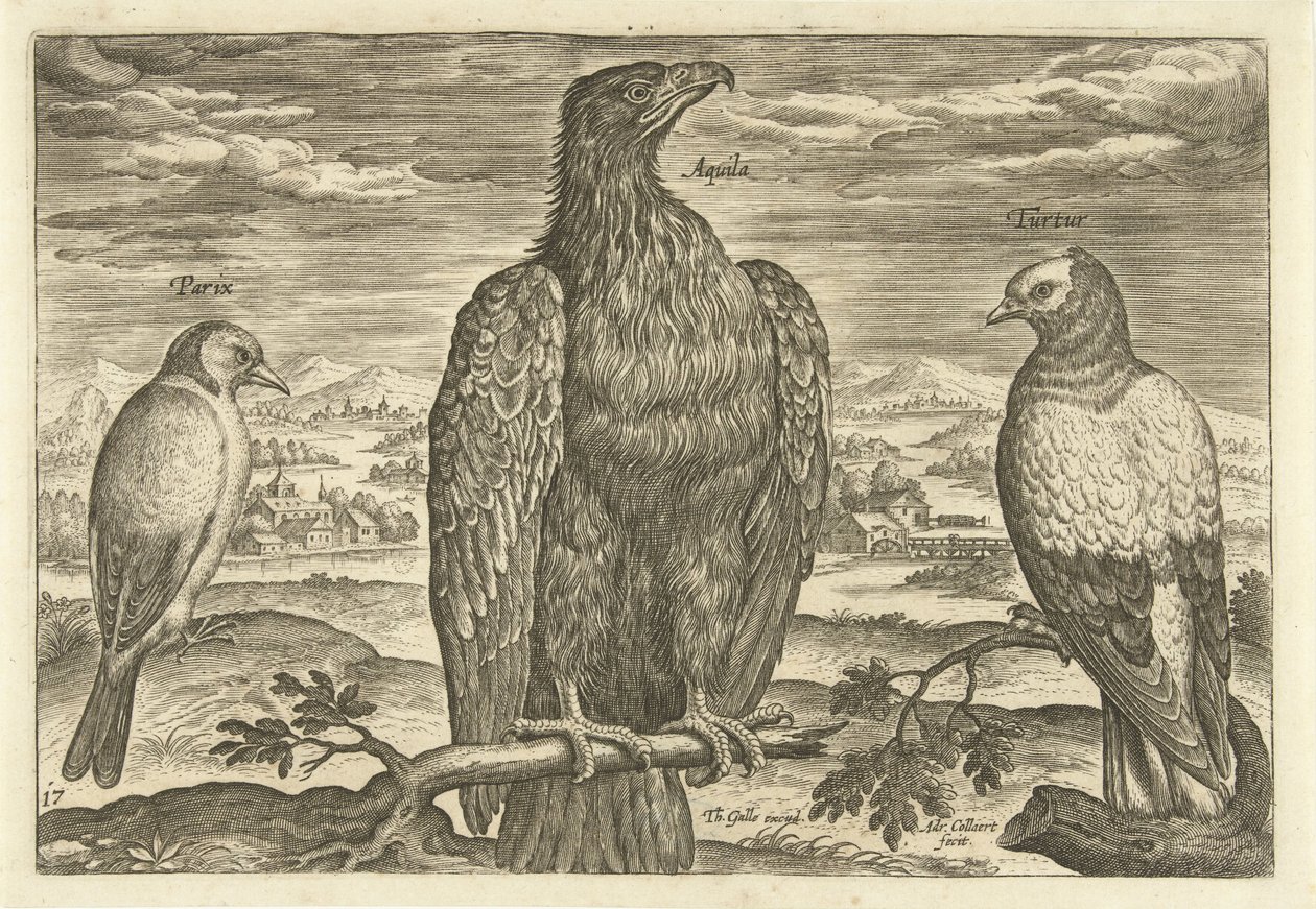 Tre uccelli in un paesaggio da Adriaen Collaert