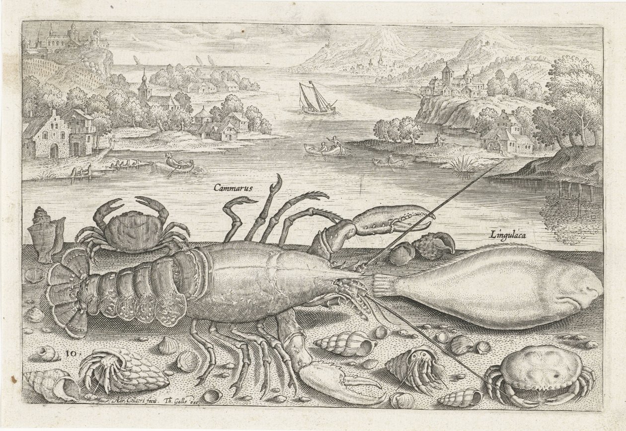 Un pesce e alcuni crostacei sulla spiaggia (serie Pesci) da Adriaen Collaert