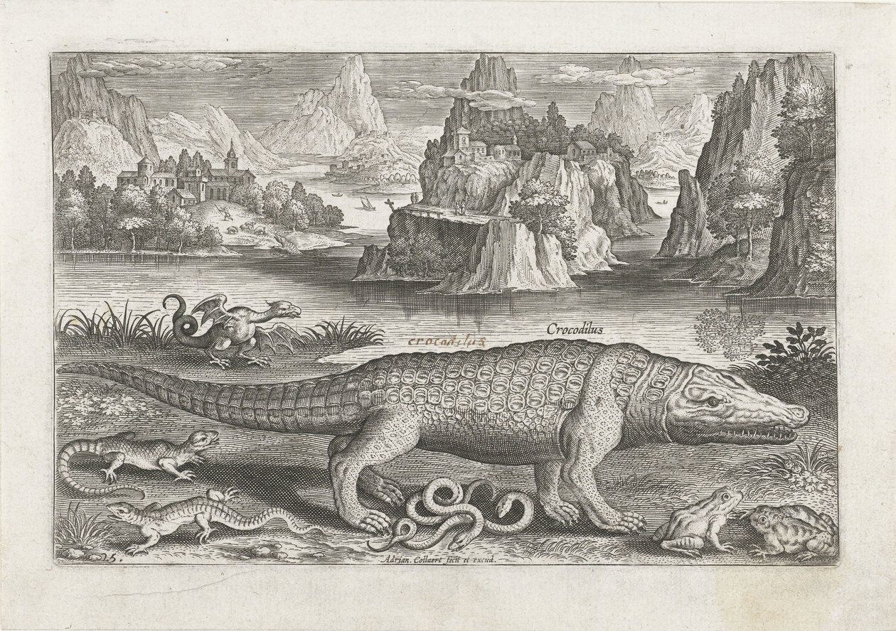 Alcuni rettili e anfibi su una riva Pesci (serie) Piscivm vivae icones (serie) da Adriaen Collaert