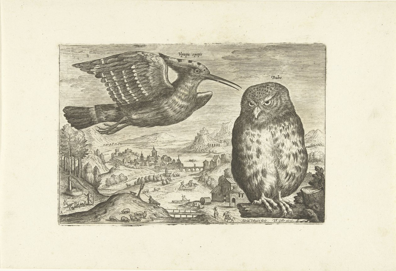 Alcuni uccelli in un paesaggio da Adriaen Collaert