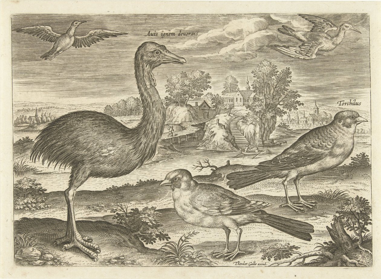 Alcuni uccelli in un paesaggio (Uccelli, Avivm vivae) da Adriaen Collaert
