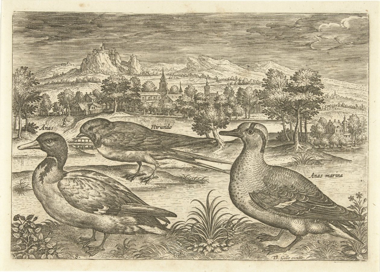 Alcuni uccelli in un paesaggio da Adriaen Collaert