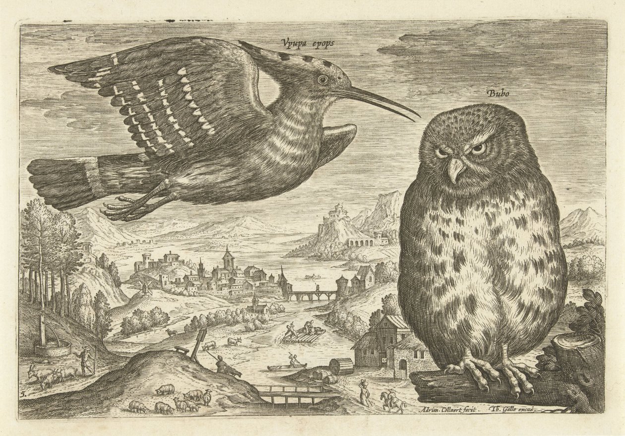 Alcuni uccelli in un paesaggio da Adriaen Collaert