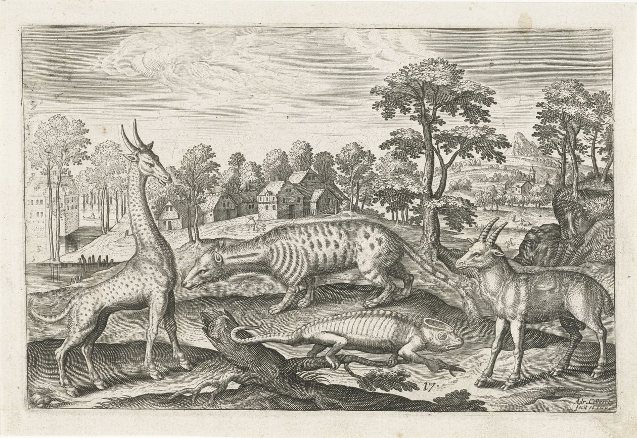 Animali esotici da Adriaen Collaert
