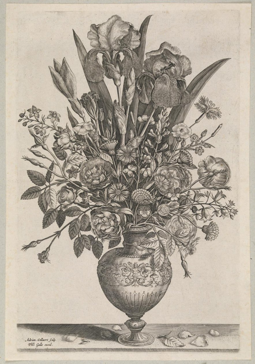 Composizione floreale con iris da Adriaen Collaert