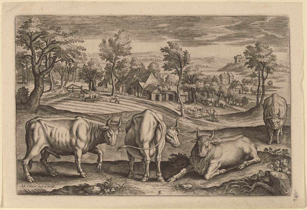 Quattro tori da Adriaen Collaert