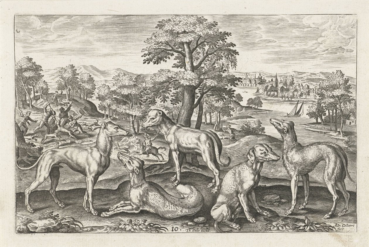 Cani da caccia da Adriaen Collaert