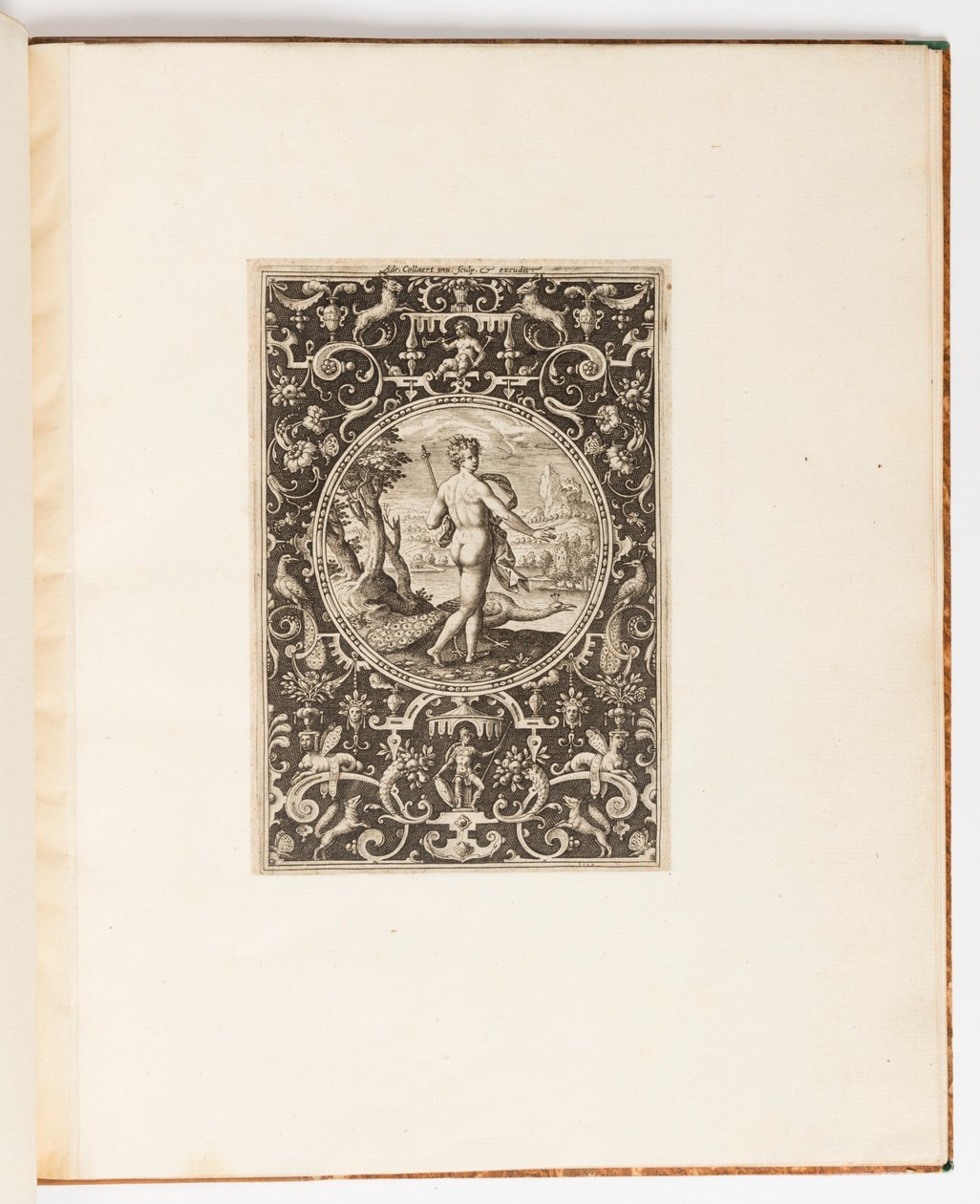 Giunone, tavola da una suite di 6 disegni ornamentali con il giudizio di Paride da Adriaen Collaert