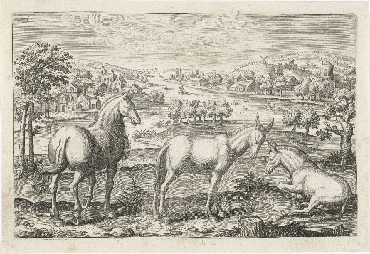 Cavallo e asini da Adriaen Collaert