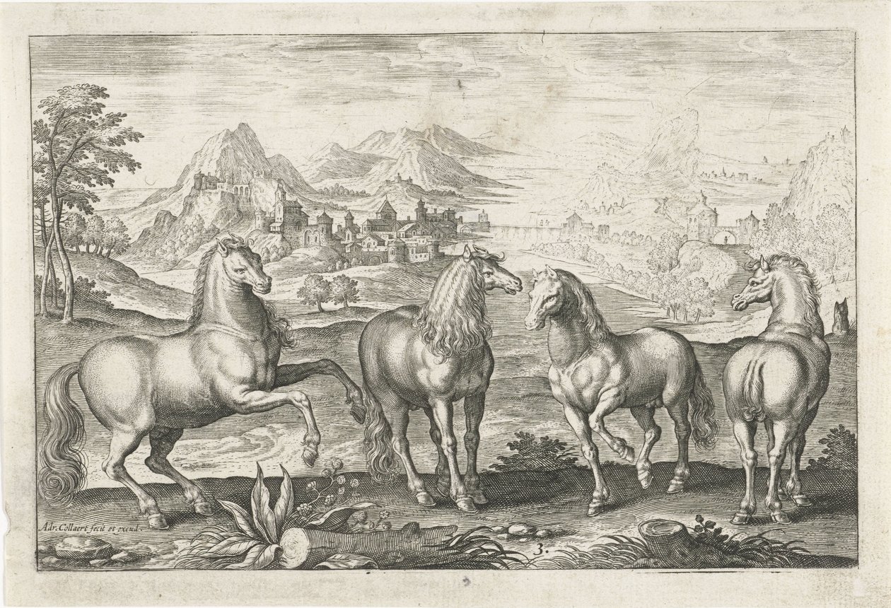 Cavalli da Adriaen Collaert