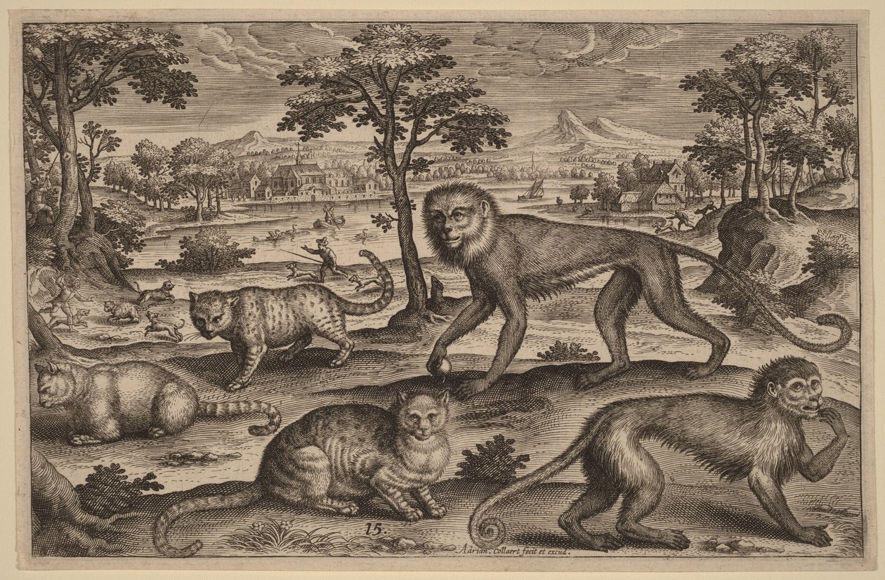 Tre gatti e due scimmie da Adriaen Collaert