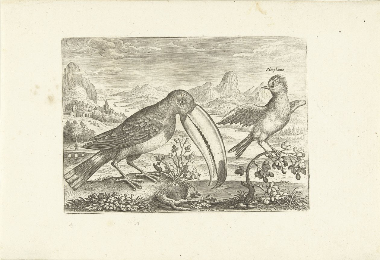 Due uccelli esotici in un paesaggio da Adriaen Collaert