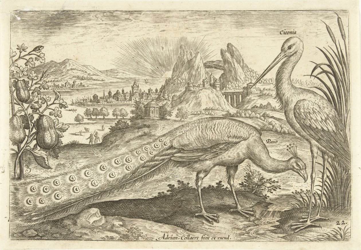Due uccelli in un paesaggio (Avivm Vivae, Vogels) da Adriaen Collaert