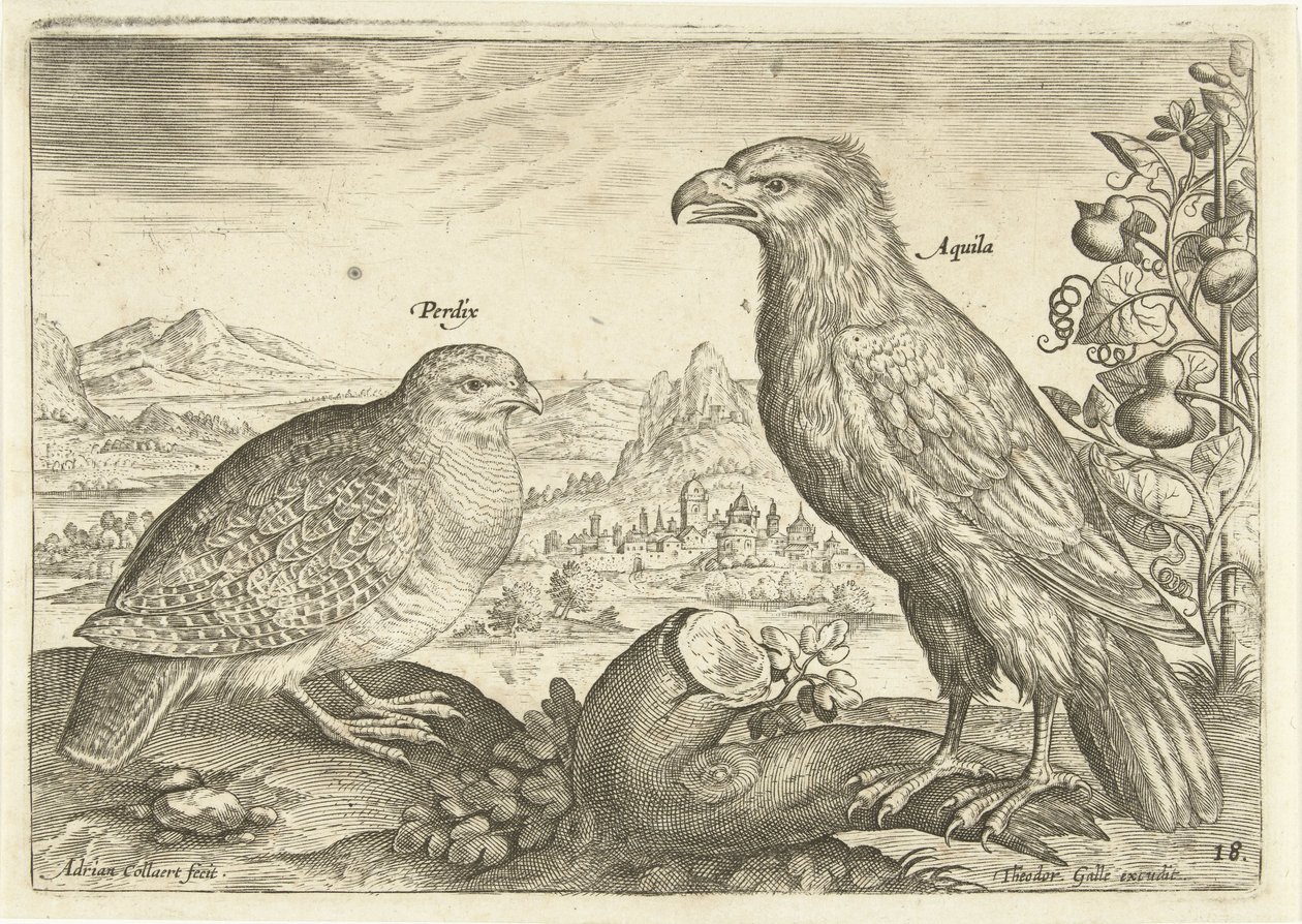Due uccelli in un paesaggio (Avivm Vivae) (Uccelli) da Adriaen Collaert