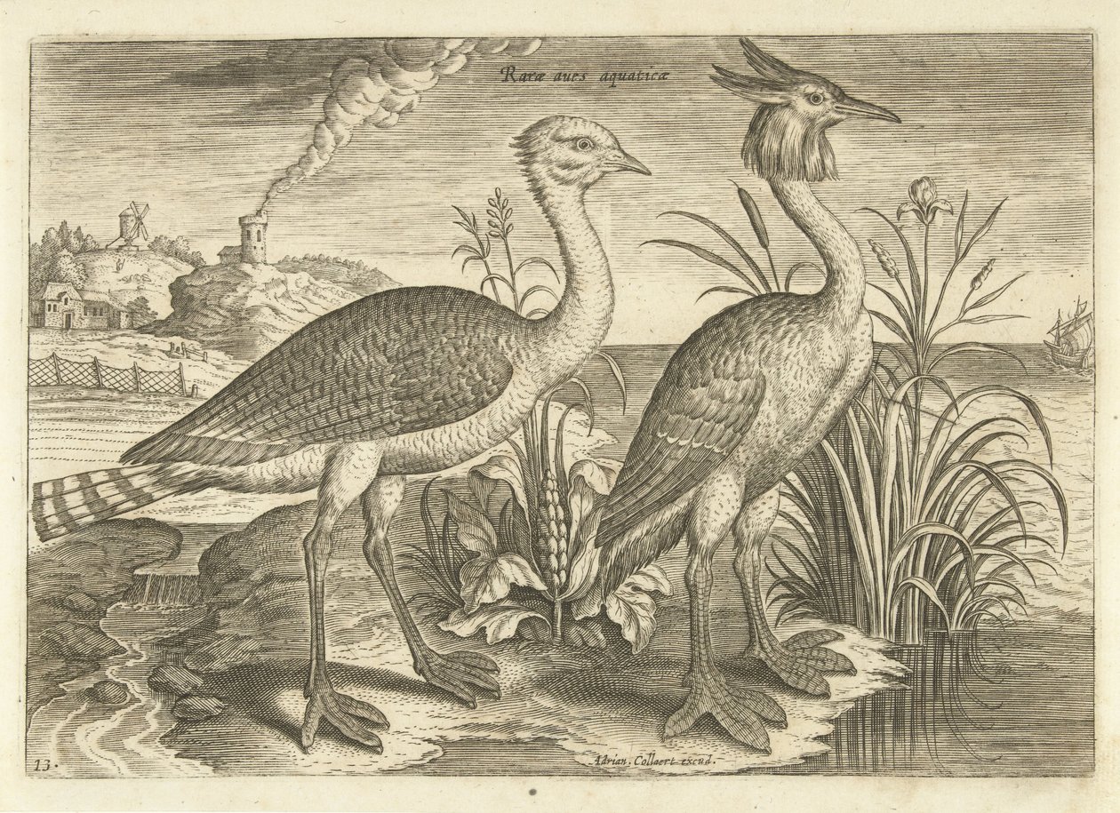 Due trampolieri in un paesaggio (serie: Uccelli) da Adriaen Collaert