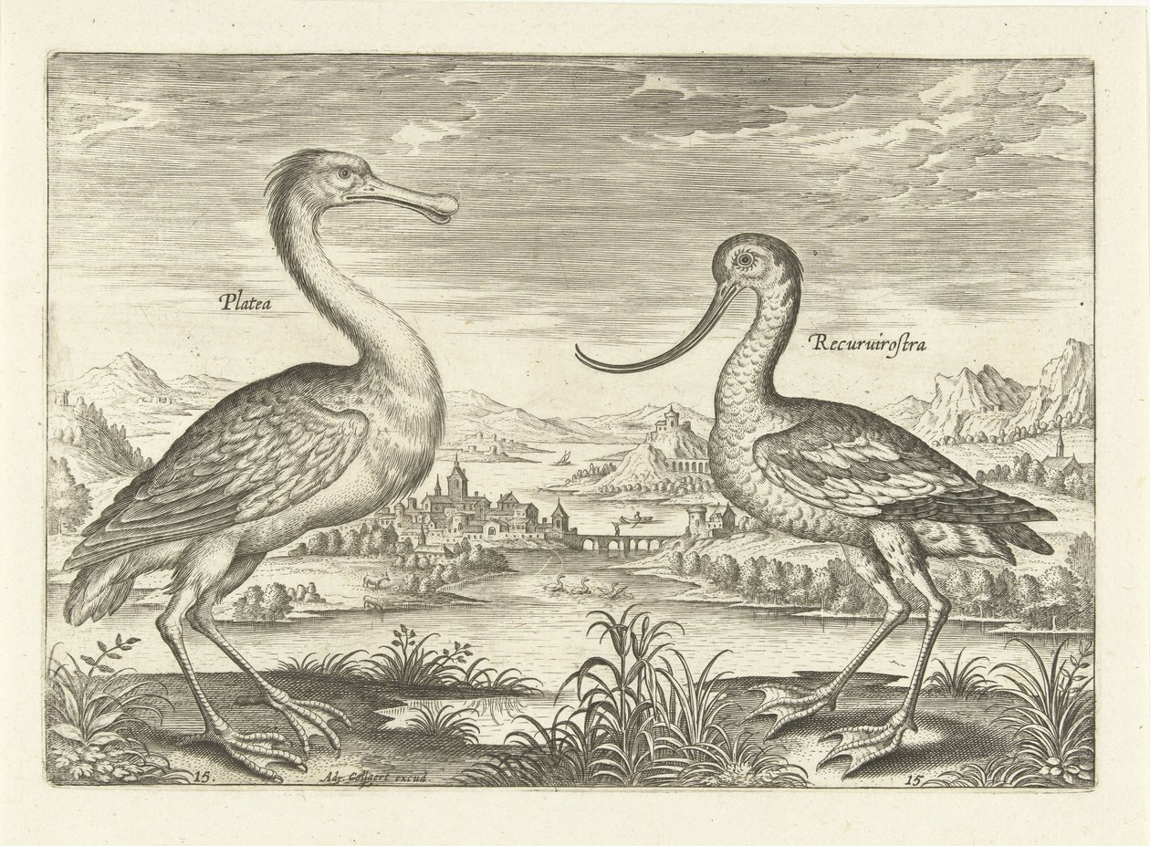 Due trampolieri in un paesaggio fluviale da Adriaen Collaert