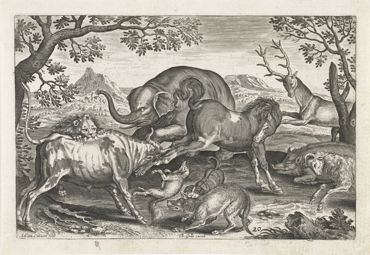 Animali combattenti, Quadrupedi (titolo della serie), Animalivm Qvaddrvpedvm (titolo della serie) da Adriaen Collaert