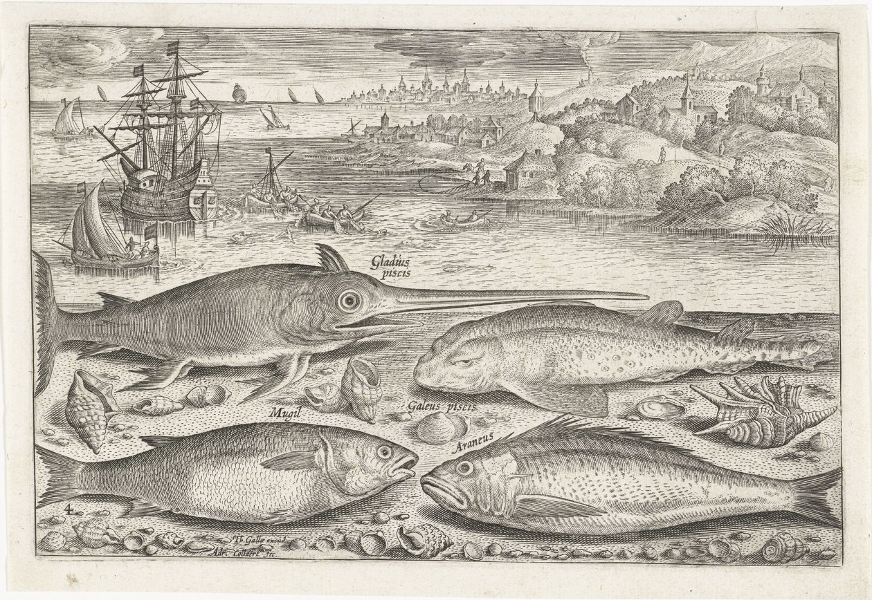 Quattro pesci sulla spiaggia da Adriaen Collaert
