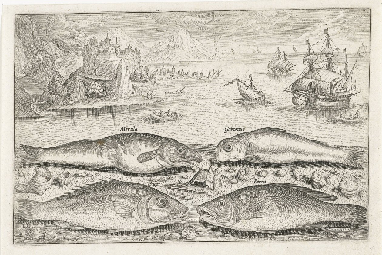 Quattro pesci sulla spiaggia da Adriaen Collaert