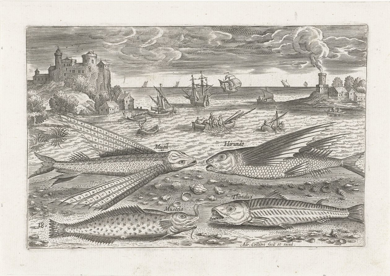 Quattro pesci sulla spiaggia da Adriaen Collaert