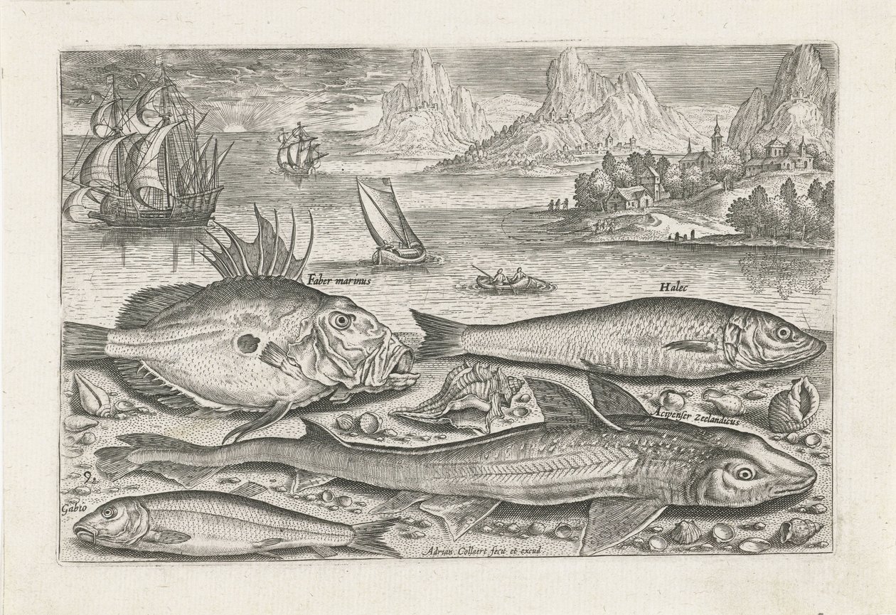 Quattro pesci sulla spiaggia da Adriaen Collaert