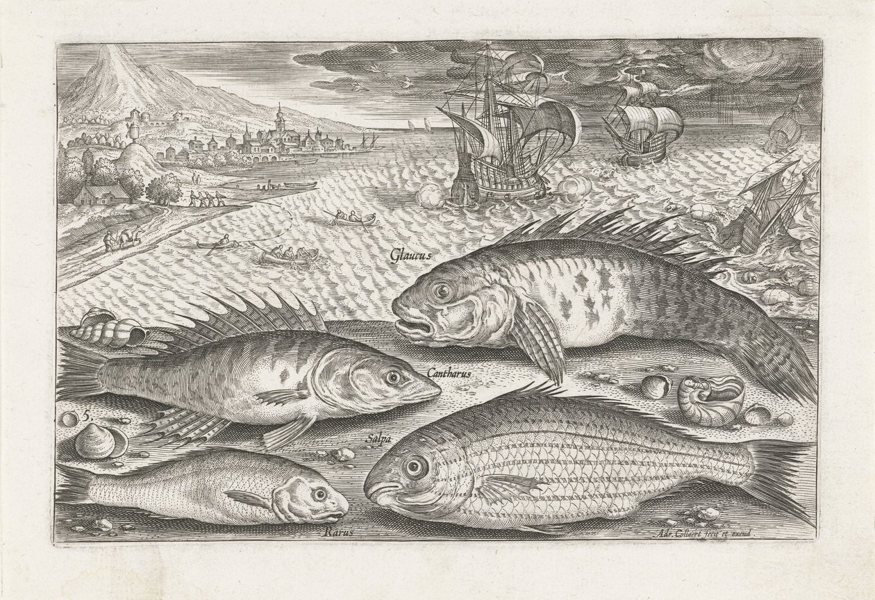 Quattro pesci sulla spiaggia da Adriaen Collaert