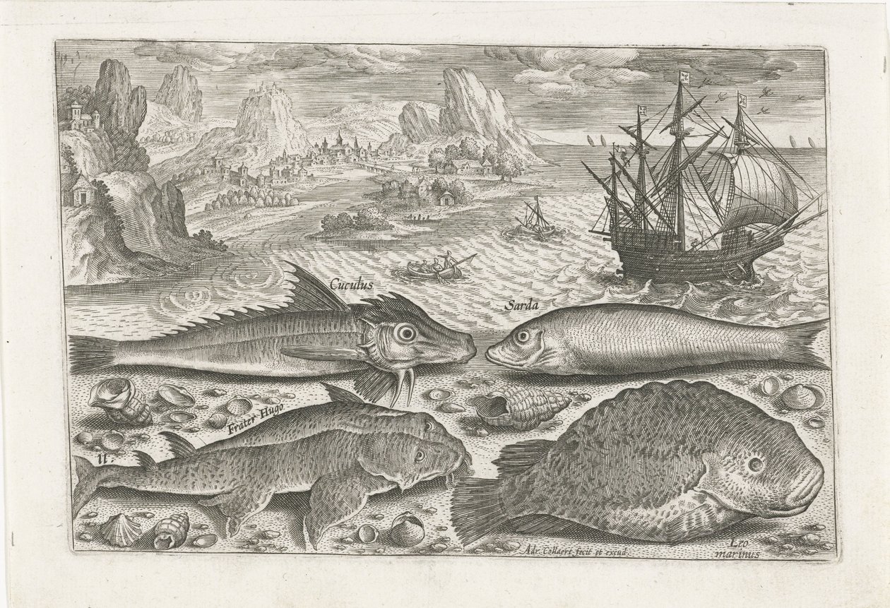 Quattro pesci sulla spiaggia da Adriaen Collaert
