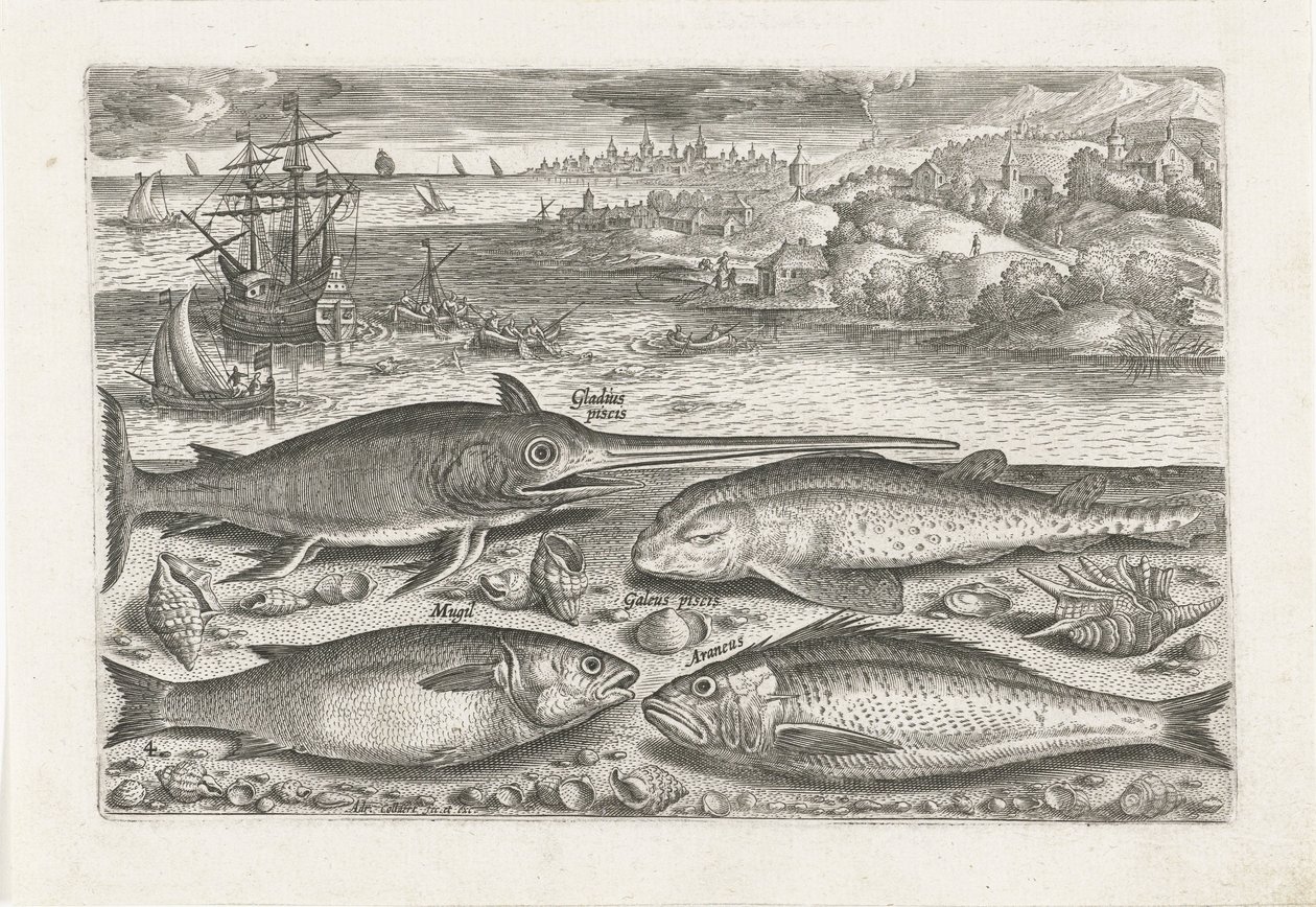 Quattro pesci sulla spiaggia da Adriaen Collaert