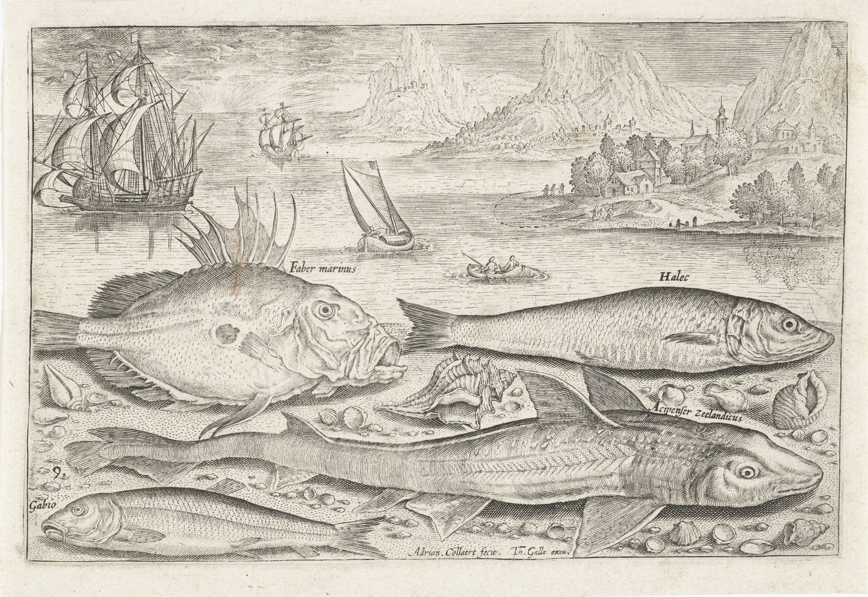 Quattro pesci sulla spiaggia da Adriaen Collaert