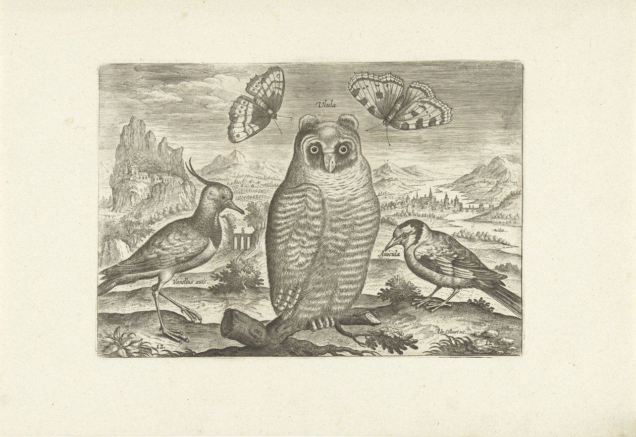 Uccelli e farfalle in un paesaggio da Adriaen Collaert