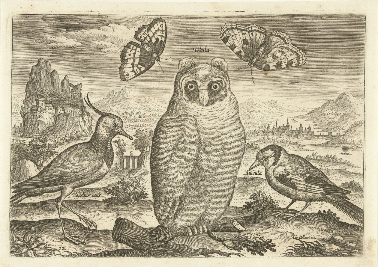 Uccelli e farfalle in un paesaggio da Adriaen Collaert