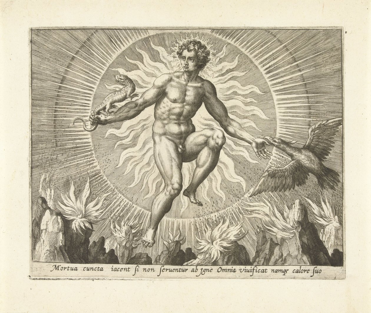 Fuoco (serie: I quattro elementi) da Adriaen Collaert