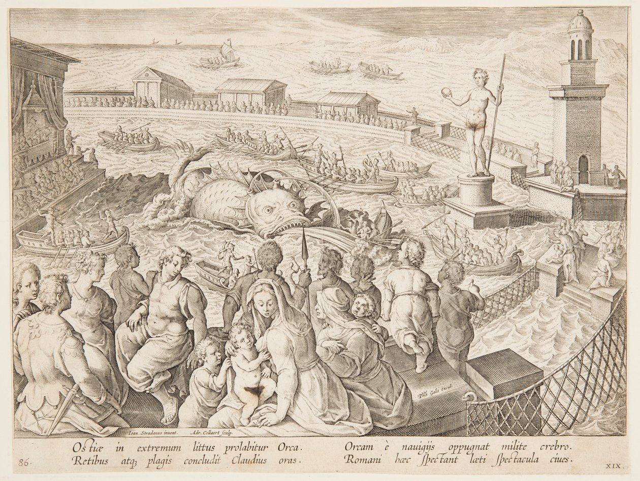 Caccia alla balena dell