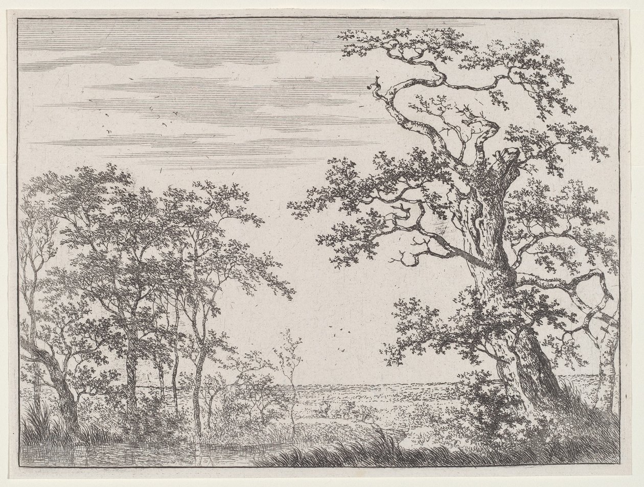 Paesaggio con un ruscello e un albero antico da Adriaen Hendricks Verboom