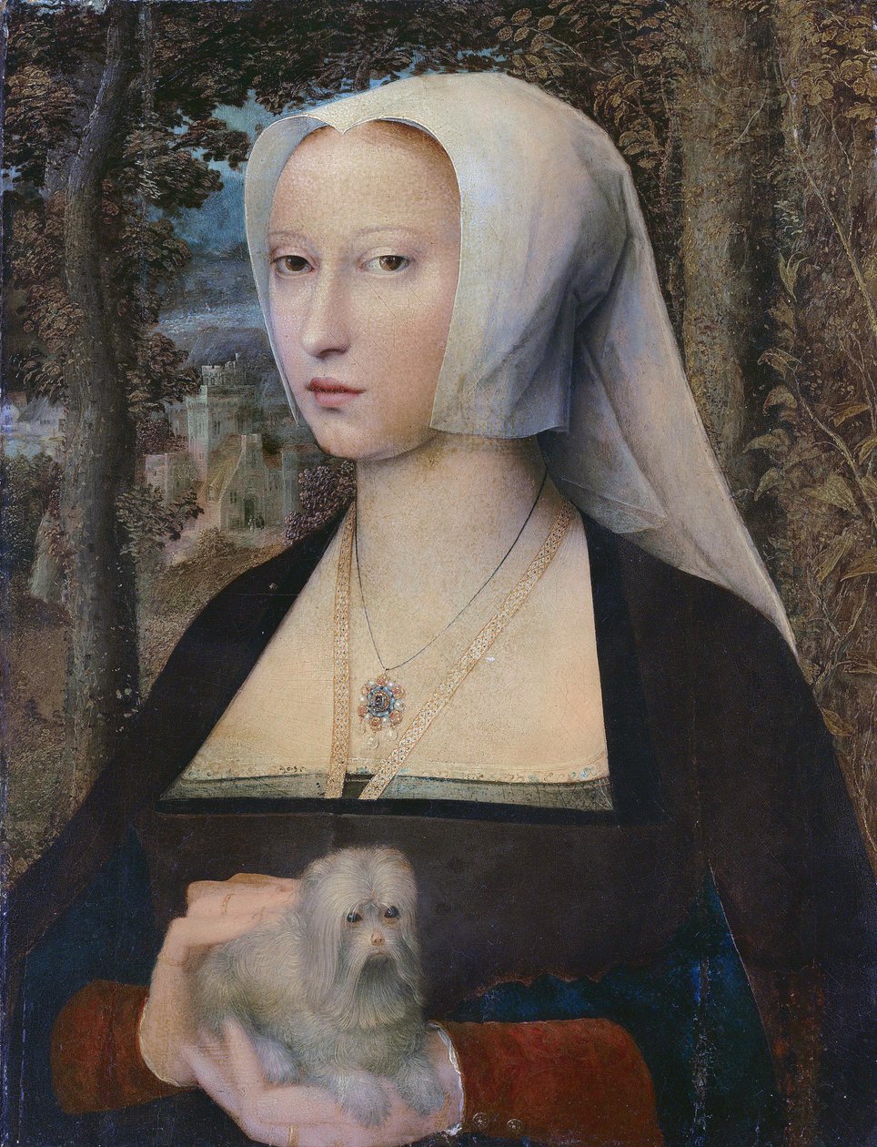 Ritratto di signora, a mezzo busto, con un cane da Adriaen Isenbrandt