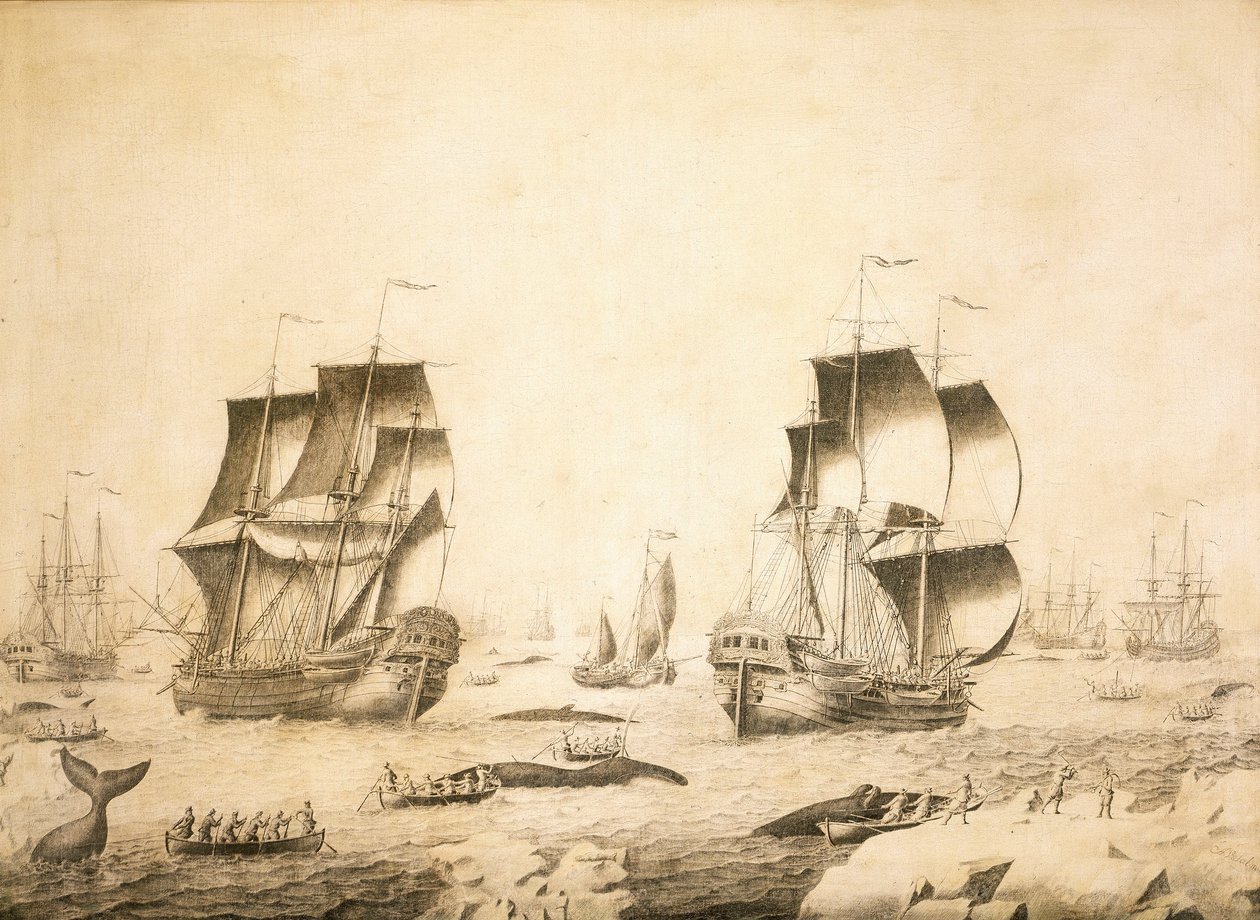 Baleniere nel ghiaccio da Adriaen or Abraham Salm