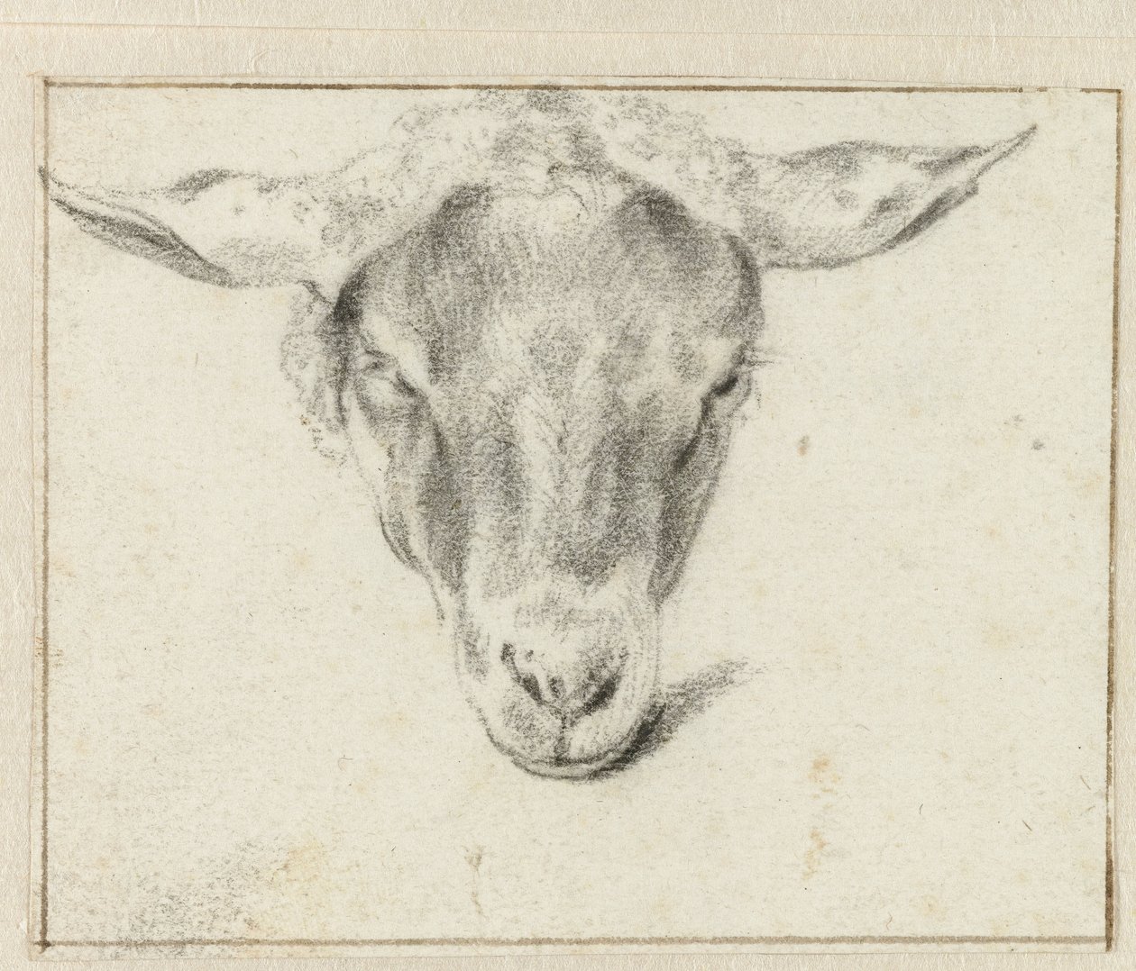 Testa di pecora, di fronte da Adriaen van de Velde (attributed to)