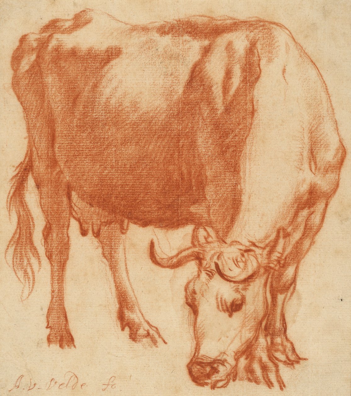 Mucca al pascolo da Adriaen van de Velde