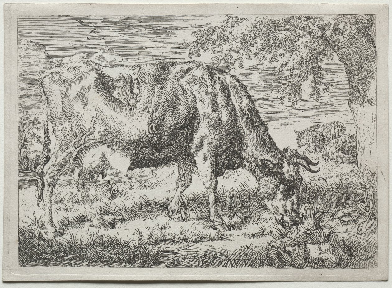 Mucca e due pecore ai piedi di un albero da Adriaen van de Velde