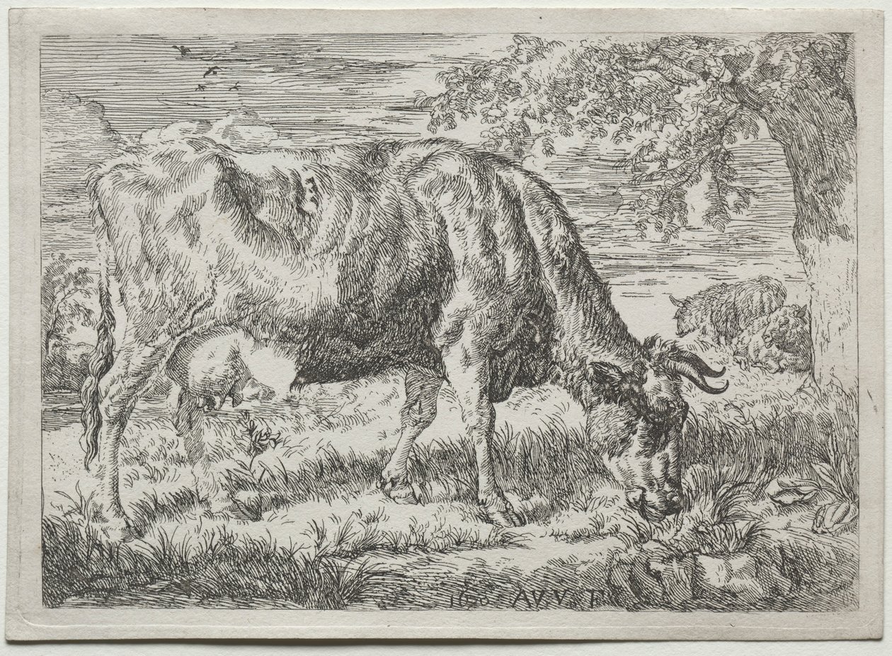 Mucca e due pecore ai piedi di un albero, 1670 da Adriaen van de Velde
