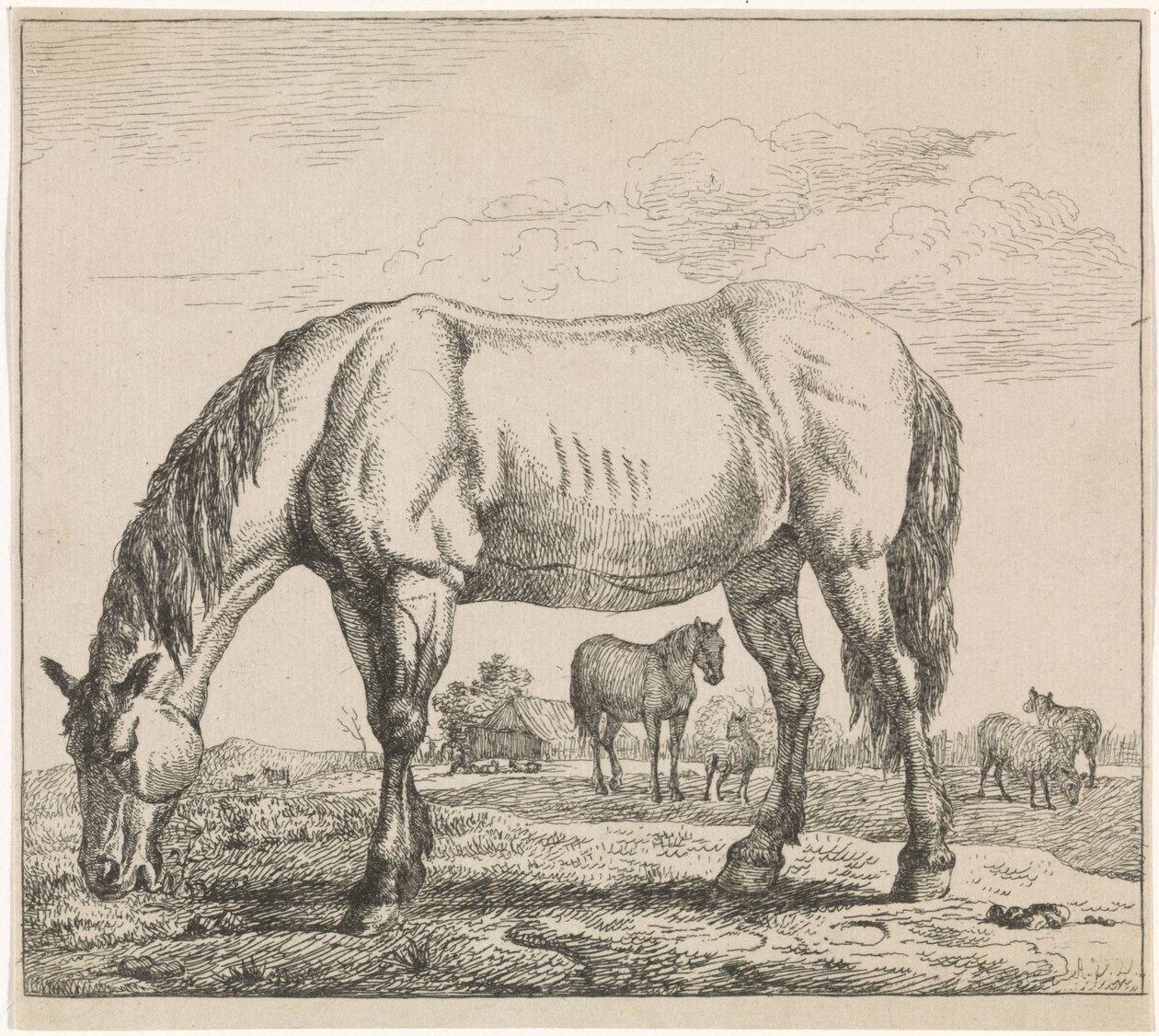 Cavallo al pascolo da Adriaen van de Velde