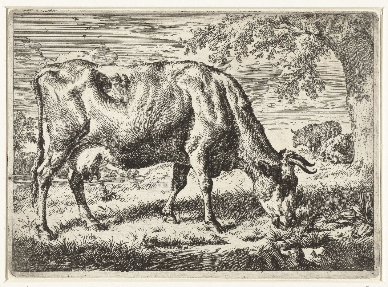 Mucca al pascolo e due pecore da Adriaen van de Velde