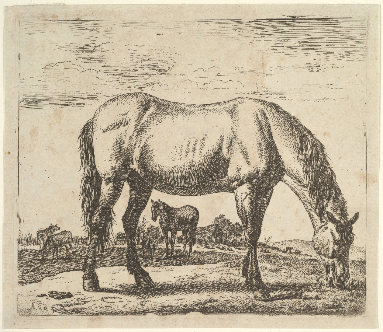 Cavallo al pascolo, da Animali diversi da Adriaen van de Velde
