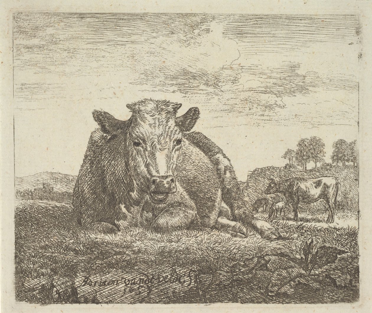 Mucca sdraiata, da Animali diversi da Adriaen van de Velde