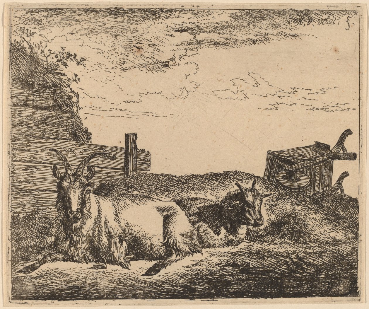 Capre Recumbenti da Adriaen van de Velde