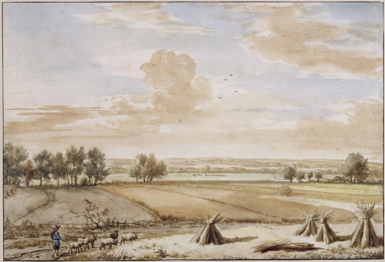 Paesaggio pianeggiante estivo con campi di grano maturo da Adriaen van de Velde