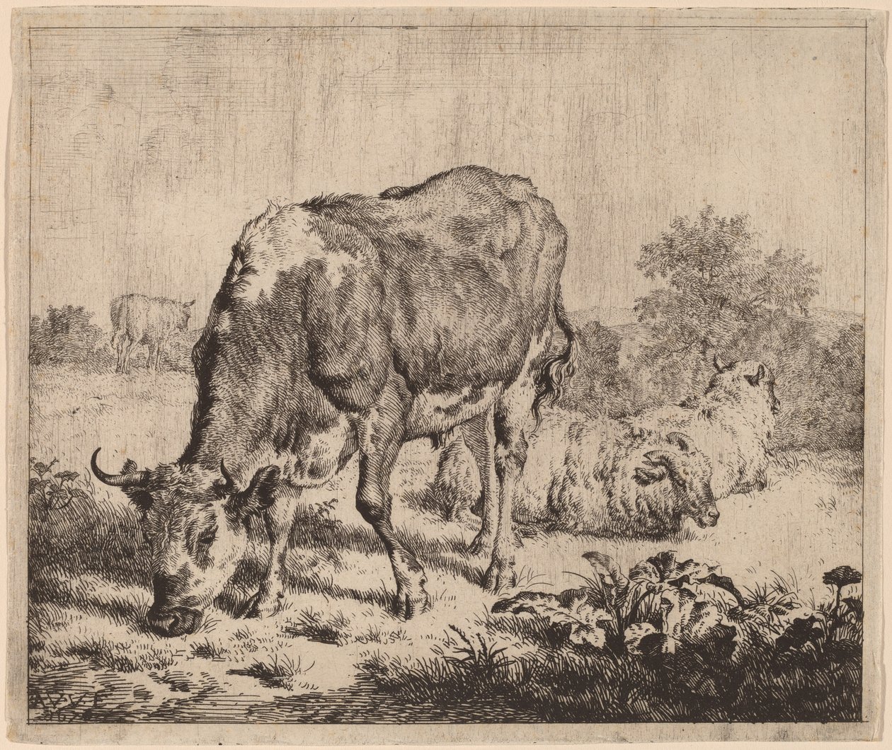 Toro Maculato e Tre Pecore da Adriaen van de Velde