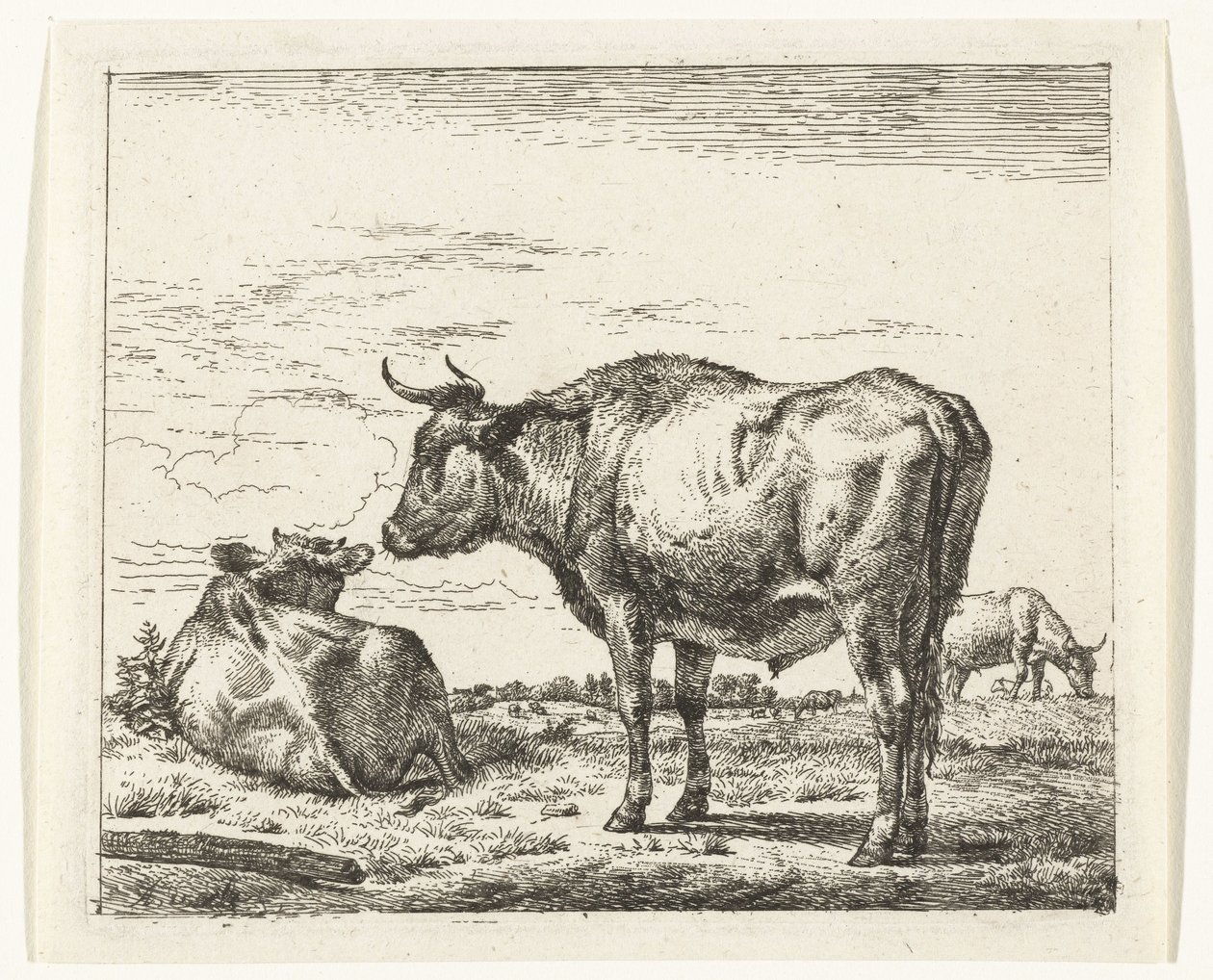Toro in piedi da Adriaen van de Velde