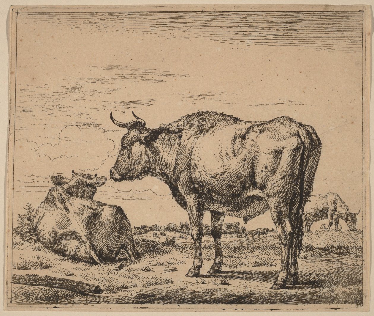 Toro in piedi da Adriaen van de Velde