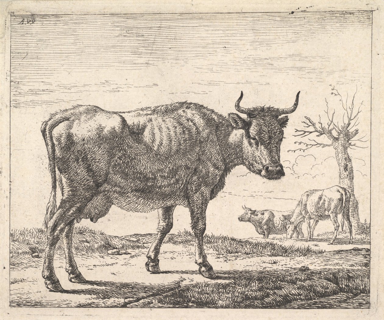 Tre mucche da Adriaen van de Velde